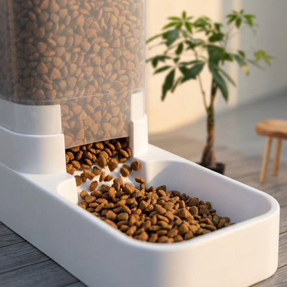 Automatic Pet Feeder and Water Dispenser